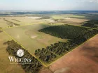 11/5 147.5 Acres