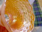 Imperial Nuart Carnival glass shade