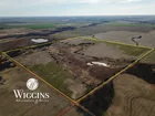 160 +/- Acres | Good Sm. Grain/Livestock/Hunting