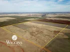 155.49 +/- Acres | Good Livestock/Sm. Grain Farm  