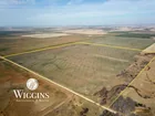 740 +/- Acres in Carrier & Goltry, OK