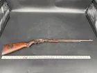 Savage Arms Model 25 22 S and LR