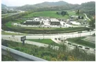 15+ Acres - Commercial Property & Business