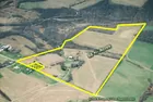 TARKO FARM AUCTION