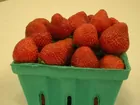 Championship Strawberries