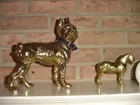 Brass Bulldog