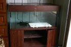 160 Gal. Aquarium from England