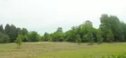 Absolute Auction Of 125 Acres