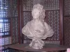 Woman Bust