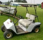 LYN LIECHTY AUCTIONS Electric Golf Cart