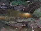 80 Acres - A Hunter & Nature Lover's Paradise