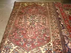 100 + RUGS