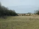 RAWLINGS 208 ACRES +- FARM