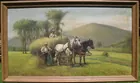 D.D. Coombs Shelbourne Meadows