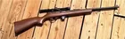 .22 rifle w/scope