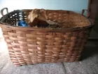 Splint basket