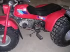 1981 Honda 110 3-wheeler