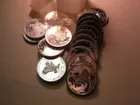 20 Troy Silver Rounds in Case