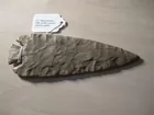 6 1/2 Base-notched. Early Archaic period. Museum