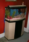 LYN LIECHTY AUCTIONS - Aquarium w/tropical fish