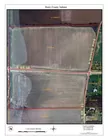 Prime Farm Land AUCTION 83.2 ACRES SOLD 