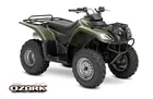 250 ATV