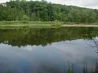 287' Muskegon River Front  Auction Connection Inc.