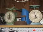 WayRite scales