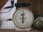 Hanson scales