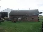 grain and bale elevator