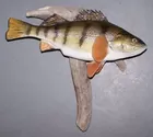 perch mount