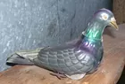 Mechanical Bird