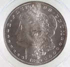 1890s Morgan Silver Dollar, Ms 64, Pcgs
