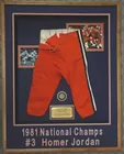 Homer Jordan football pants- Clemson University