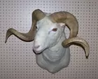 Ram Head Mount