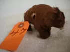 WIND UP BROWN BEAR