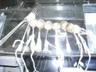 Sterling Salt Spoons
