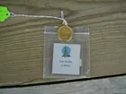 1888 10 dollar gold coin