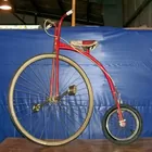 Lyn Liechty Auctions  Vintage Hi-Wheeler!